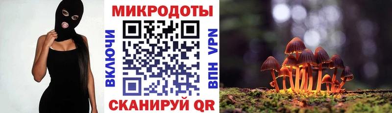 Галлюциногенные грибы прущие грибы  Рудня 