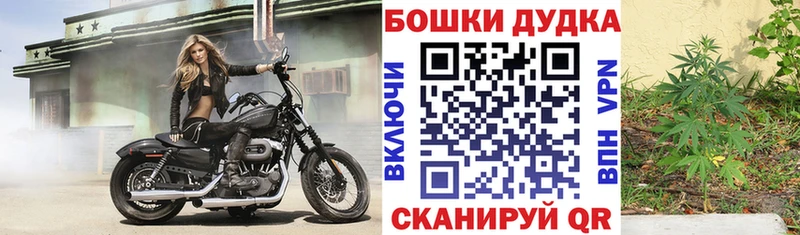МАРИХУАНА сатива  hydra ССЫЛКА  Рудня  сколько стоит 